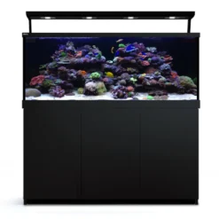 Outlet Red Sea MAX S-650 Liter Sort G2 Akvarier Til Saltvandsfisk|Akvarier