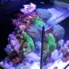 Hot Red Sea Nano Max Complete Reef System Sort G2 Akvarier Til Saltvandsfisk|Akvarier