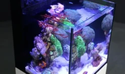 Outlet Red Sea Nano Max Complete Reef System Hvidt G2 Akvarier Til Saltvandsfisk|Akvarier