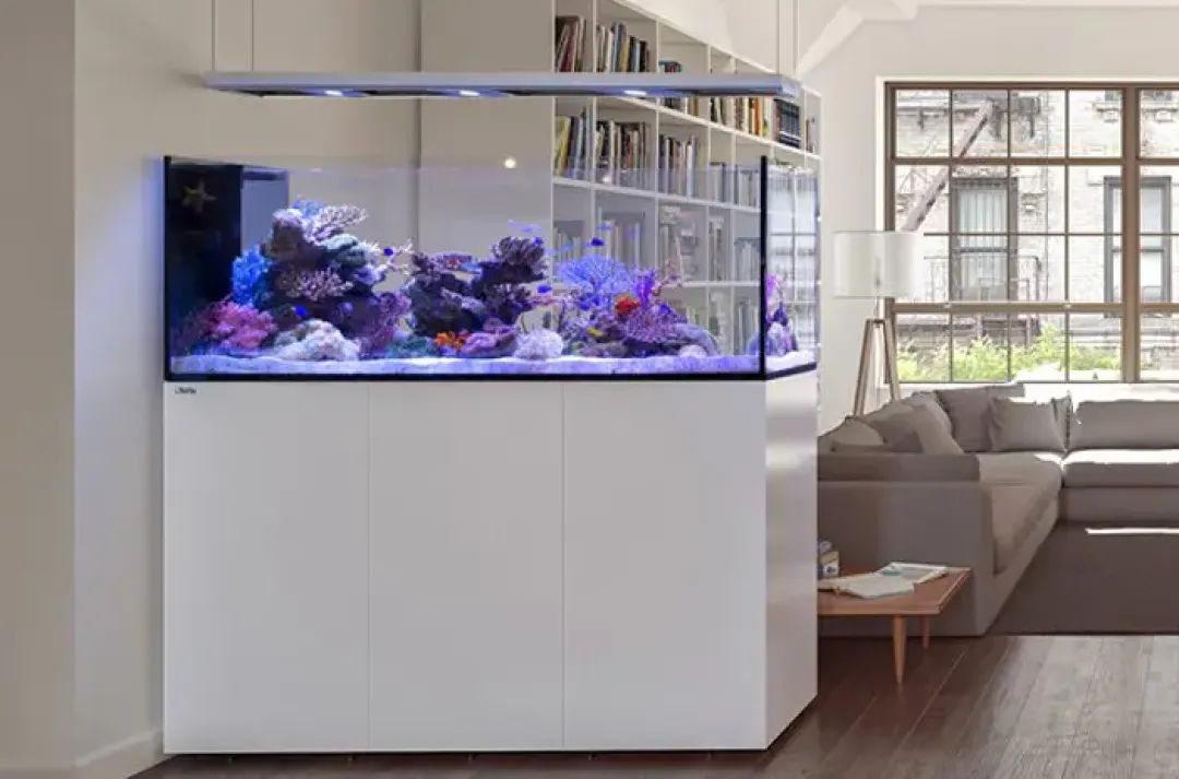 Outlet Saltvandakvarium Peninsula P650 Deluxe Hvid Akvarier Til Saltvandsfisk|Akvarier