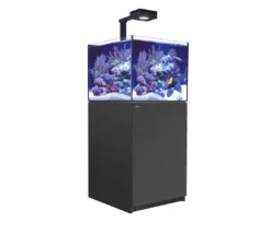 Online Red Sea Saltvandsakvarium Reefer XL 200 Deluxe G2 Sort Akvarier Til Saltvandsfisk|Akvarier