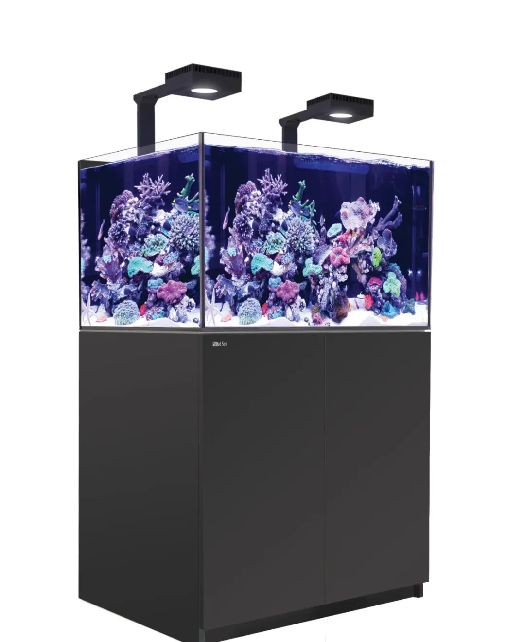 Outlet Red Sea Saltvandsakvarium Reefer XL 300 Deluxe Sort Akvarier Til Saltvandsfisk|Akvarier