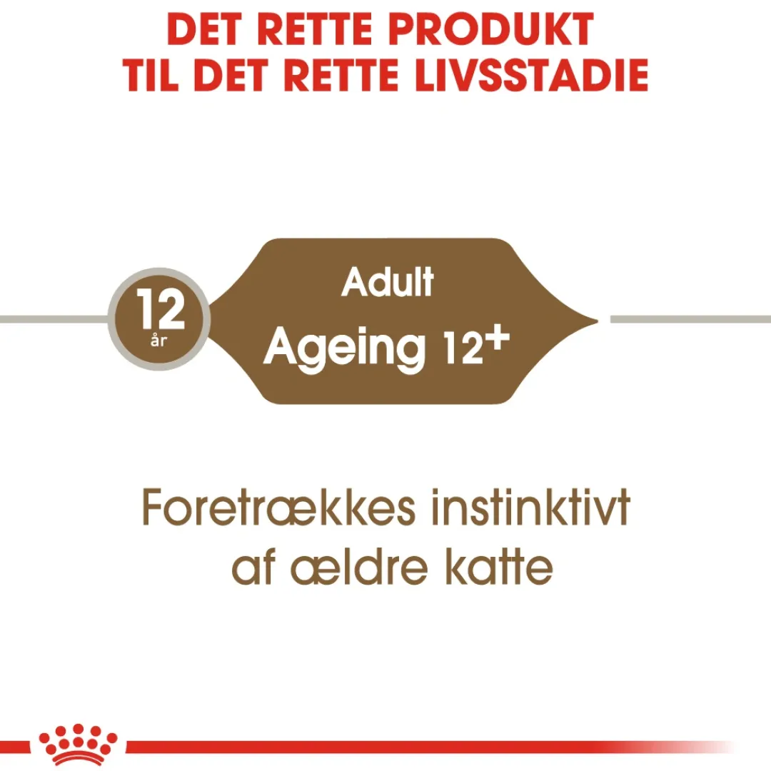 Best Royal Canin Ageing +12 Sovs - vådfoder 85 g Kattefoder & Snacks