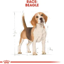 Discount Royal Canin Beagle Adult 12 kg - tørfoder til voksne hunde Hundefoder|Tørfoder Til Hunde I Alle Størrelser Og Aldre
