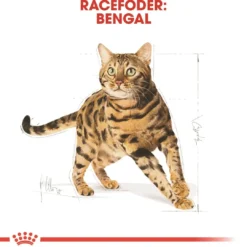 Outlet Royal Canin Bengal 2 kg Adult Kattefoder & Snacks