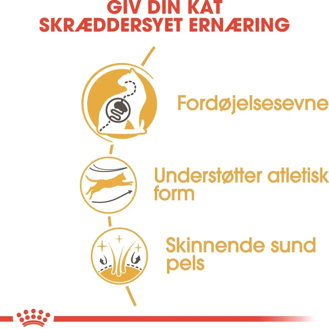Outlet Royal Canin Bengal 2 kg Adult Kattefoder & Snacks