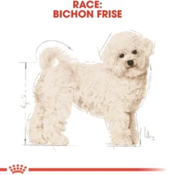 Online Royal Canin Bichon Frise Adult 1,5 kg - tørfoder til voksne hunde Hundefoder|Tørfoder Til Hunde I Alle Størrelser Og Aldre
