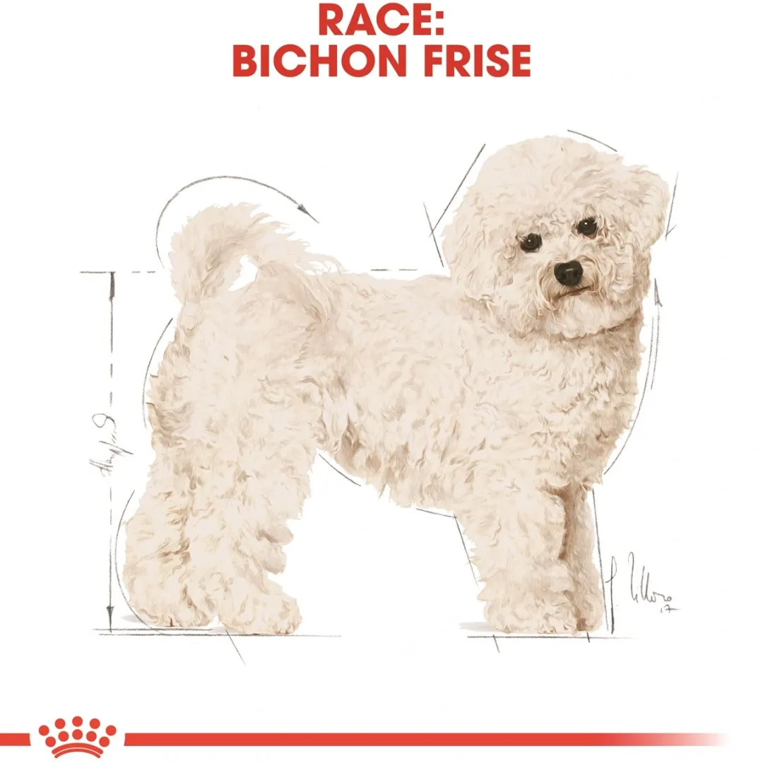 Online Royal Canin Bichon Frise Adult 1,5 kg - tørfoder til voksne hunde Hundefoder|Tørfoder Til Hunde I Alle Størrelser Og Aldre