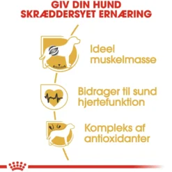 Clearance Royal Canin Boxer Adult 12 kg - fuldfoder til voksne boxere Hundefoder|Tørfoder Til Hunde I Alle Størrelser Og Aldre