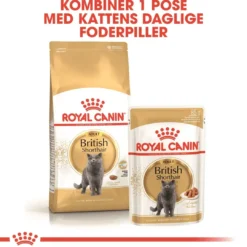 Online Royal Canin British shorthair 10 kg Kattefoder & Snacks
