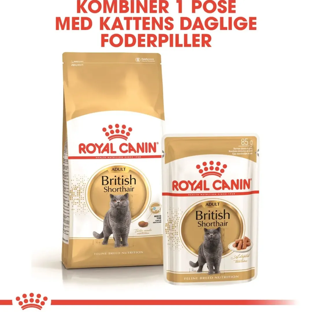 Online Royal Canin British shorthair 10 kg Kattefoder & Snacks