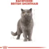 Discount Royal Canin British shorthair 2 kg Kattefoder & Snacks