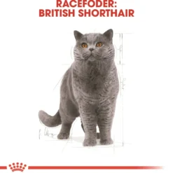 Discount Royal Canin British shorthair 2 kg Kattefoder & Snacks