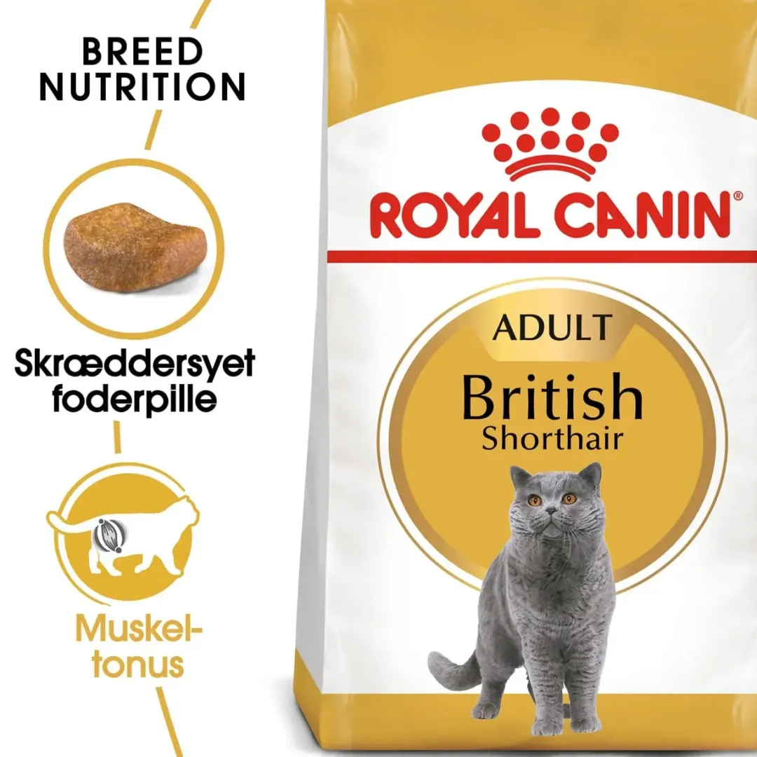 Discount Royal Canin British shorthair 2 kg Kattefoder & Snacks