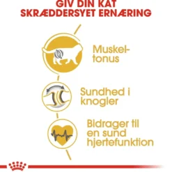 Discount Royal Canin British shorthair 2 kg Kattefoder & Snacks