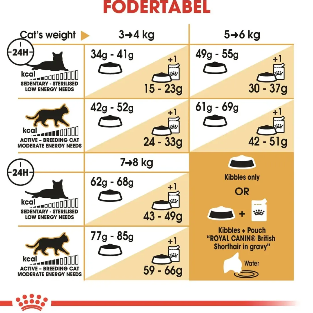 Discount Royal Canin British shorthair 2 kg Kattefoder & Snacks