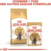 Best Royal Canin British shorthair Sovs - vådfoder 85 g Kattefoder & Snacks