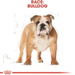 Discount Royal Canin Bulldog Adult 12 kg - tørfoder til voksne hunde Hundefoder|Tørfoder Til Hunde I Alle Størrelser Og Aldre