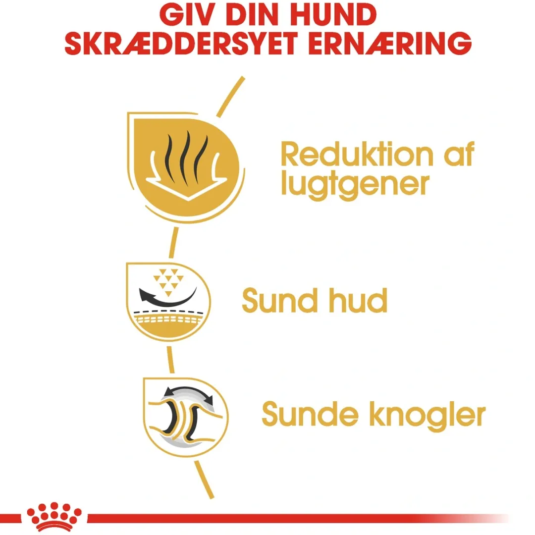 Discount Royal Canin Bulldog Adult 12 kg - tørfoder til voksne hunde Hundefoder|Tørfoder Til Hunde I Alle Størrelser Og Aldre
