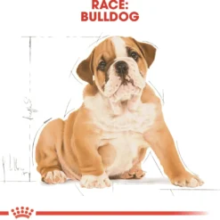 Clearance Royal Canin Bulldog Puppy 12 kg - tørfoder til hvalpe Hundefoder|Tørfoder Til Hunde I Alle Størrelser Og Aldre