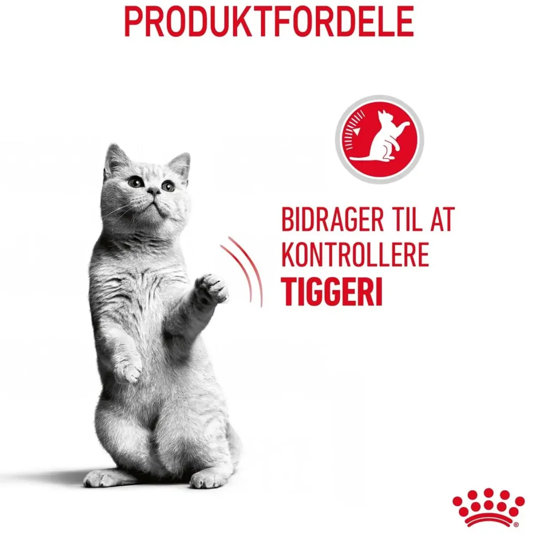 Discount Royal Canin Care Appetite Control 2 kg Kattefoder & Snacks