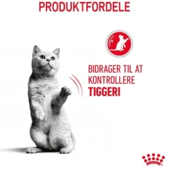 Clearance Royal Canin Care Appetite Control 400 gram Kattefoder & Snacks