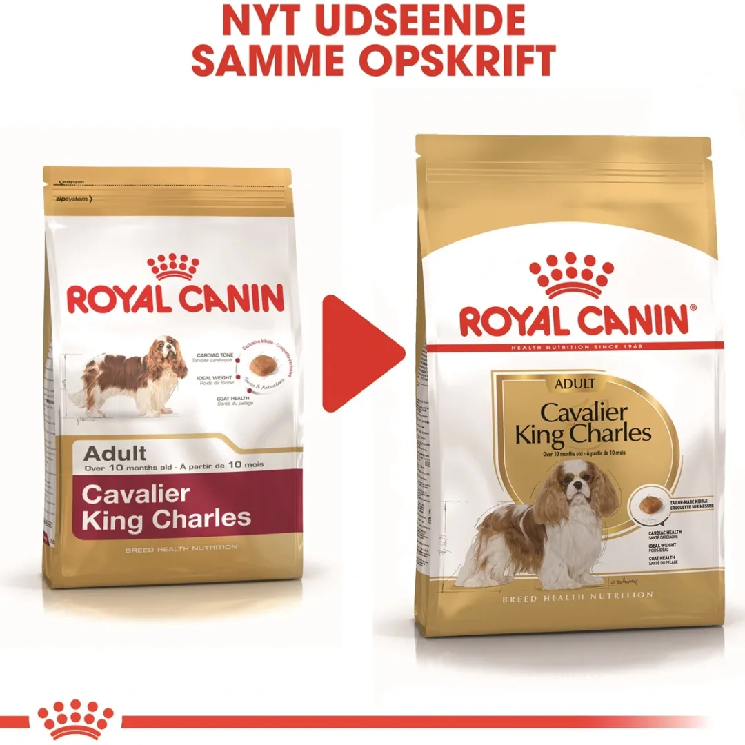 Sale Royal Canin Cavalier King Charles Adult 1,5 kg - tørfoder til små hunde Hundefoder|Tørfoder Til Hunde I Alle Størrelser Og Aldre