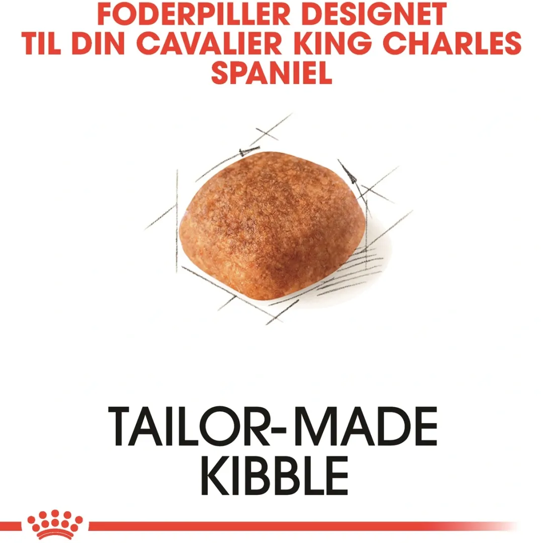 Sale Royal Canin Cavalier King Charles Adult 1,5 kg - tørfoder til små hunde Hundefoder|Tørfoder Til Hunde I Alle Størrelser Og Aldre