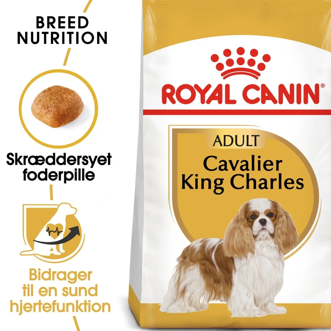 Sale Royal Canin Cavalier King Charles Adult 1,5 kg - tørfoder til små hunde Hundefoder|Tørfoder Til Hunde I Alle Størrelser Og Aldre