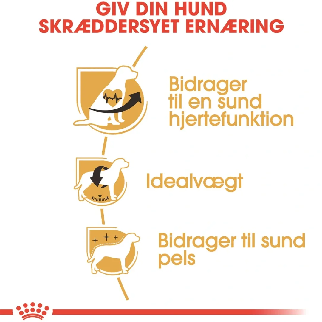 New Royal Canin Cavalier King Charles Adult 7,5 kg - tørfoder til voksne hunde Hundefoder|Tørfoder Til Hunde I Alle Størrelser Og Aldre