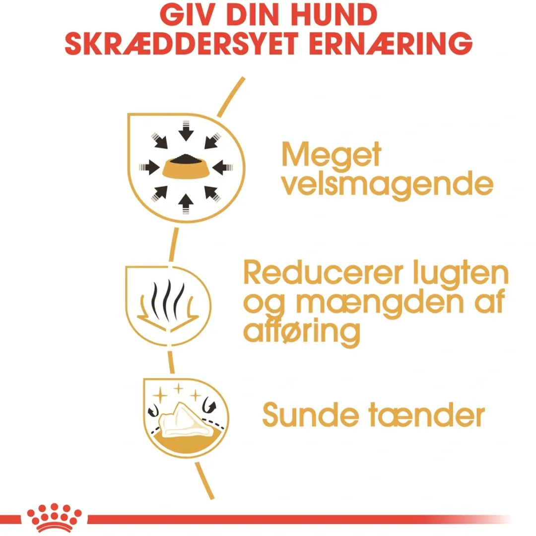 Clearance Royal Canin Chihuahua Adult 3 kg - tørfoder til små hunde Hundefoder|Tørfoder Til Hunde I Alle Størrelser Og Aldre