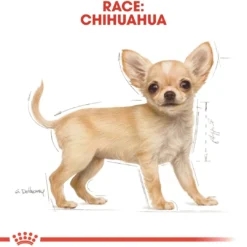 Sale Royal Canin Chihuahua Puppy 1,5 kg - hvalpefoder Hundefoder|Tørfoder Til Hunde I Alle Størrelser Og Aldre