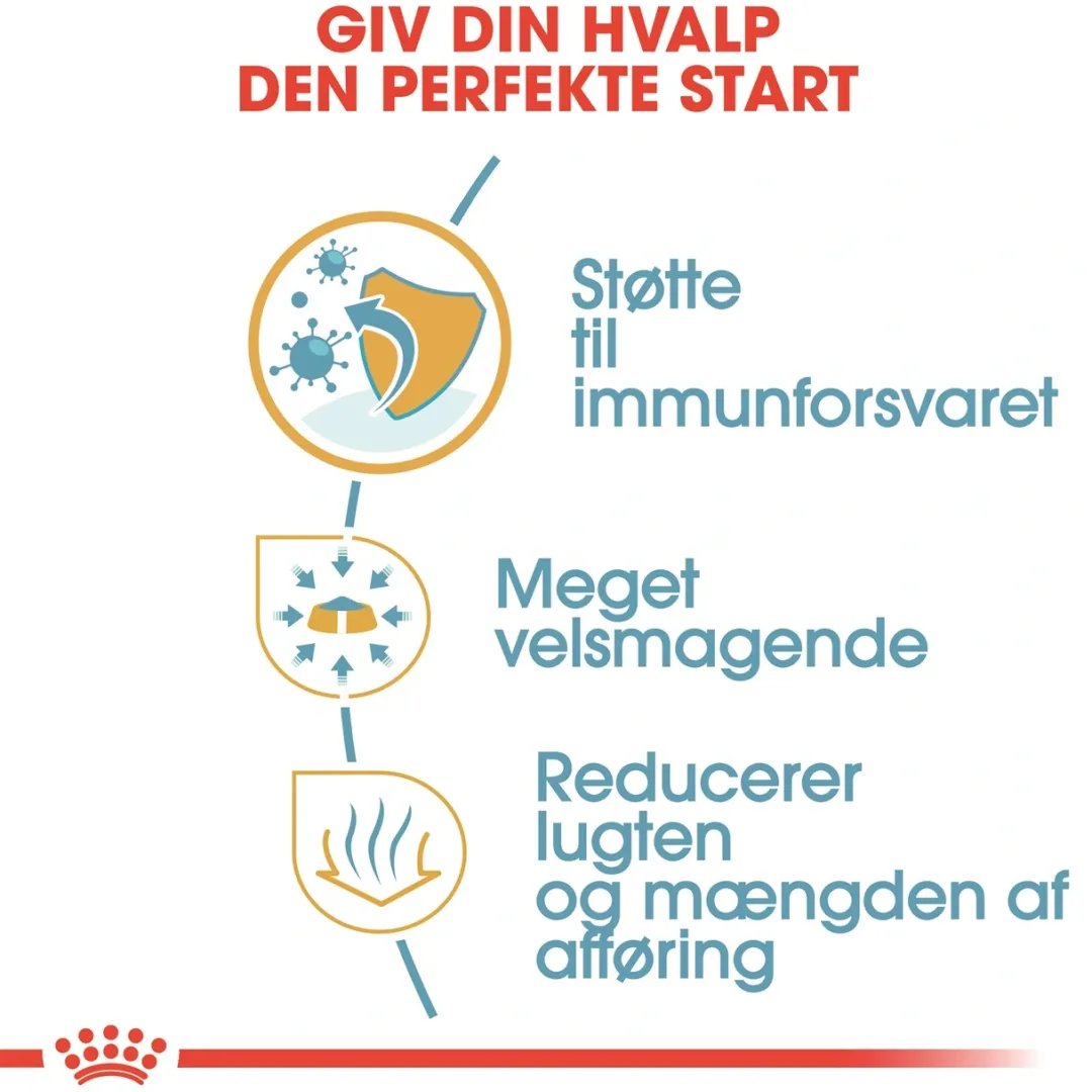 Sale Royal Canin Chihuahua Puppy 1,5 kg - hvalpefoder Hundefoder|Tørfoder Til Hunde I Alle Størrelser Og Aldre