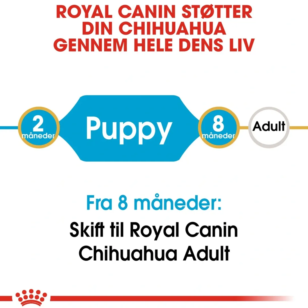 Sale Royal Canin Chihuahua Puppy 1,5 kg - hvalpefoder Hundefoder|Tørfoder Til Hunde I Alle Størrelser Og Aldre
