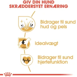 Online Royal Canin Cocker Spaniel Adult 3 kg - tørfoder til voksne hunde Hundefoder|Tørfoder Til Hunde I Alle Størrelser Og Aldre