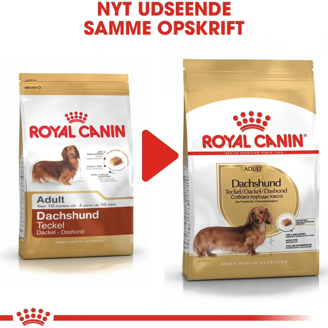 Best Royal Canin Dachshund Adult 1,5 kg - tørfoder til gravhunde Hundefoder|Tørfoder Til Hunde I Alle Størrelser Og Aldre