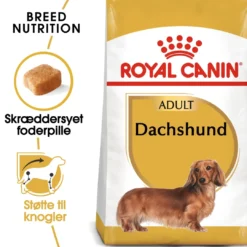 Best Royal Canin Dachshund Adult 1,5 kg - tørfoder til gravhunde Hundefoder|Tørfoder Til Hunde I Alle Størrelser Og Aldre