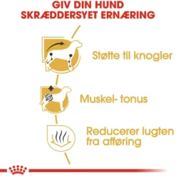 Royal Canin Dachshund Adult 7,5 kg - tørfoder til gravhunde Hundefoder|Tørfoder Til Hunde I Alle Størrelser Og Aldre