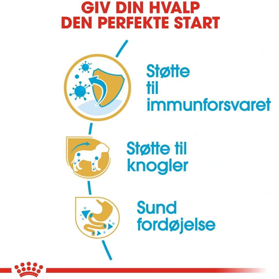 Royal Canin Dachshund Puppy 1,5 kg - tørfoder til Gravhund hvalpe Hundefoder|Tørfoder Til Hunde I Alle Størrelser Og Aldre