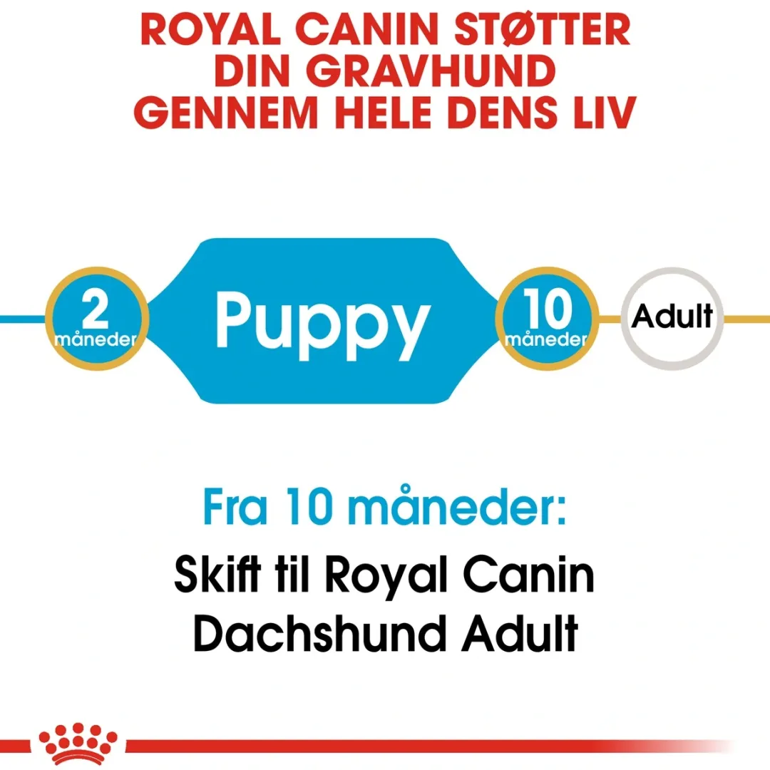 Royal Canin Dachshund Puppy 1,5 kg - tørfoder til Gravhund hvalpe Hundefoder|Tørfoder Til Hunde I Alle Størrelser Og Aldre