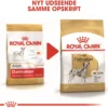 Outlet Royal Canin Dalmatian Adult 12 kg - tørfoder til voksne hunde Hundefoder|Tørfoder Til Hunde I Alle Størrelser Og Aldre