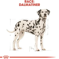 Outlet Royal Canin Dalmatian Adult 12 kg - tørfoder til voksne hunde Hundefoder|Tørfoder Til Hunde I Alle Størrelser Og Aldre