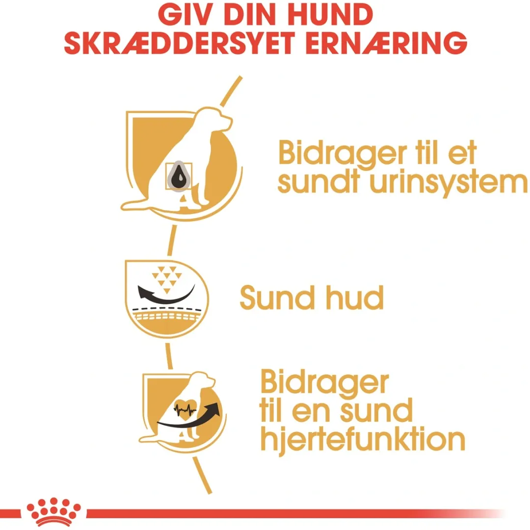 Outlet Royal Canin Dalmatian Adult 12 kg - tørfoder til voksne hunde Hundefoder|Tørfoder Til Hunde I Alle Størrelser Og Aldre