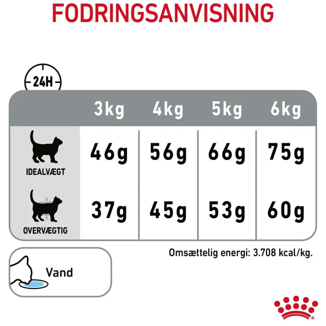 Best Royal Canin Dental Care 400 gram Kattefoder & Snacks