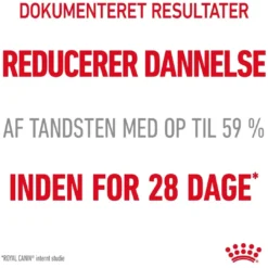 Best Royal Canin Dental Care 400 gram Kattefoder & Snacks