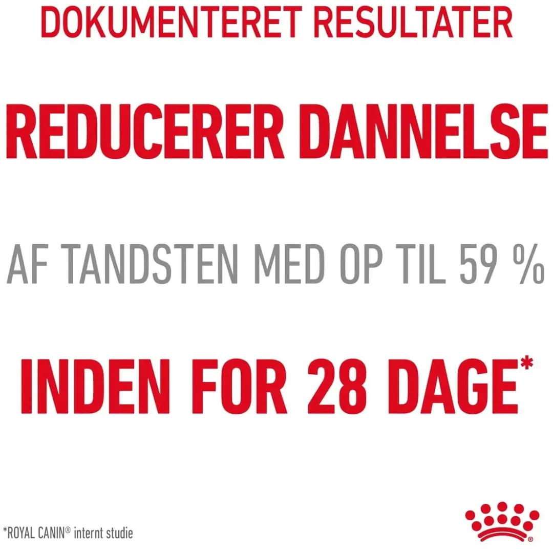 Hot Royal Canin Dental Care 3,5 kg Kattefoder & Snacks