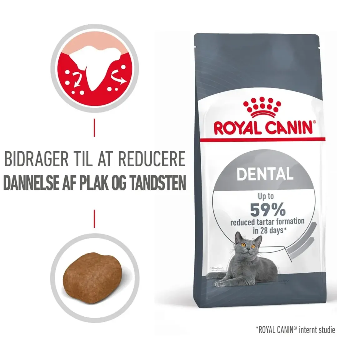 Hot Royal Canin Dental Care 3,5 kg Kattefoder & Snacks