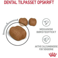 New Royal Canin Dental Care 8 kg Kattefoder & Snacks