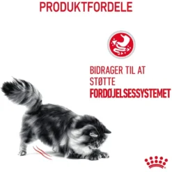 Sale Royal Canin Digestive Care 400 gram Kattefoder & Snacks