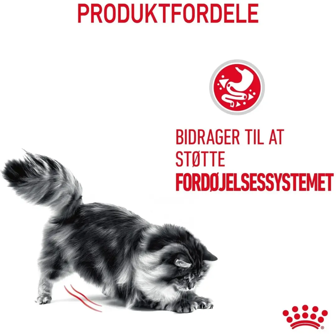 Sale Royal Canin Digestive Care 400 gram Kattefoder & Snacks